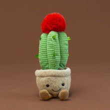 Load image into Gallery viewer, amuseable-red-moon-cactus-with-brown-corded-boots