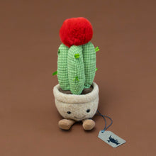 Load image into Gallery viewer, amuseable-red-moon-cactus