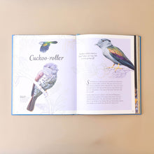 Load image into Gallery viewer, an-anthology-of-exquisite-birds-interior-page-with-pictures-and-text-of-cuckoo-roller