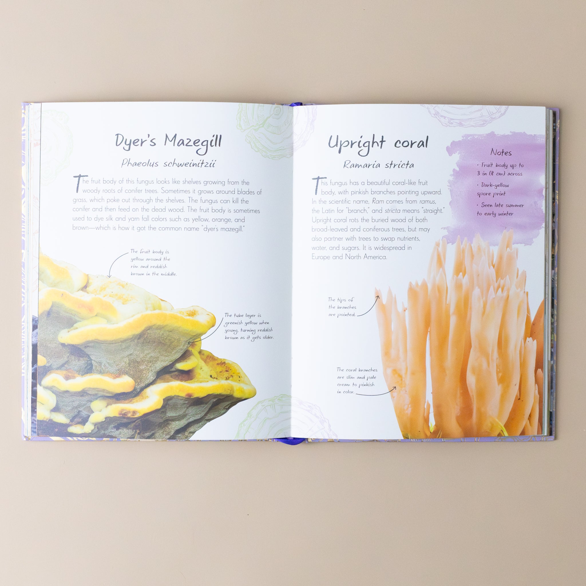 an-anthology-of-fungi-interior-pages-with-dyers-maizegill-and-upright-coral-mushrooms-and-text