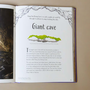 section-titled-giant-cave-with-text-about-the-largest-cave-in-the-world-that-a-jumbo-jet-could-fly-through
