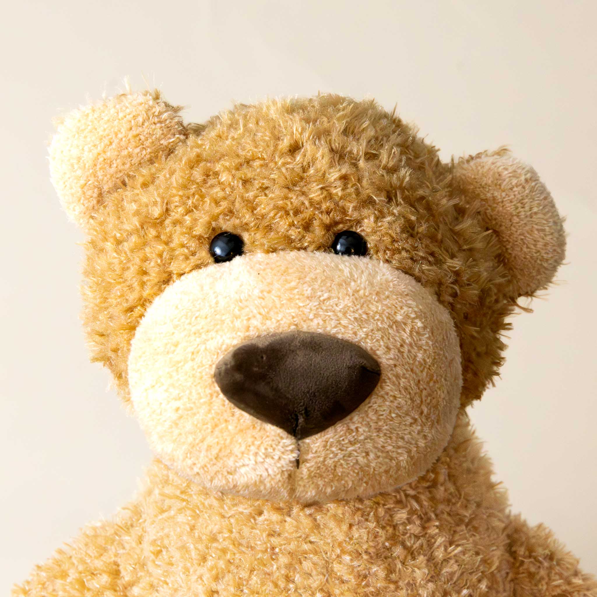 anatole-the-bear-large-honey-colored-stuffed-animal-face