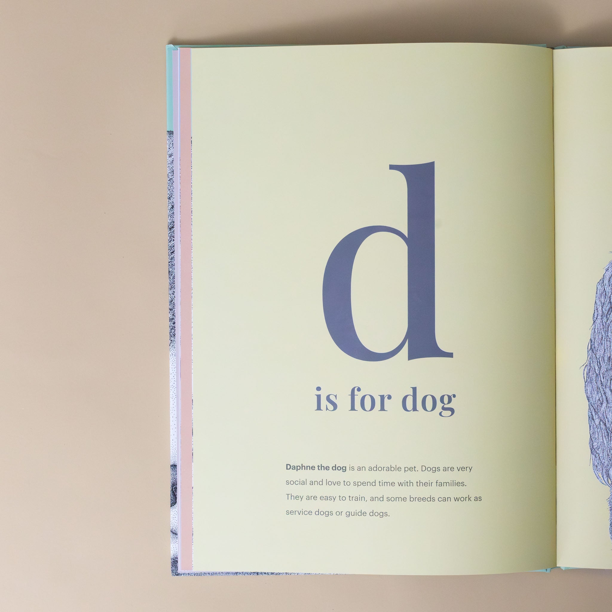 animal-alphabet-interior-page-d-is-for-dog-with-text