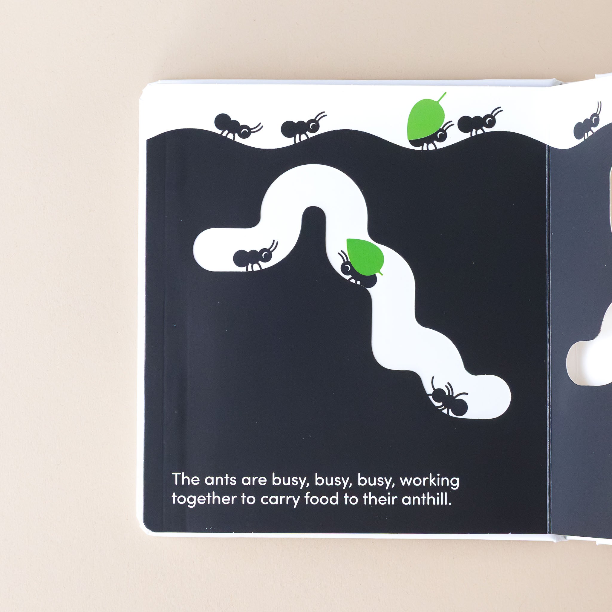 animals-at-home-board-book-interior-page-ants-carrying-leaves-in-and-out-of-anthill