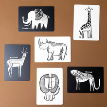 Load image into Gallery viewer, black-and-white-art-cards-for-baby---safari-box-with-elephant-giraffe-antelope-lion-cheetah-rhino