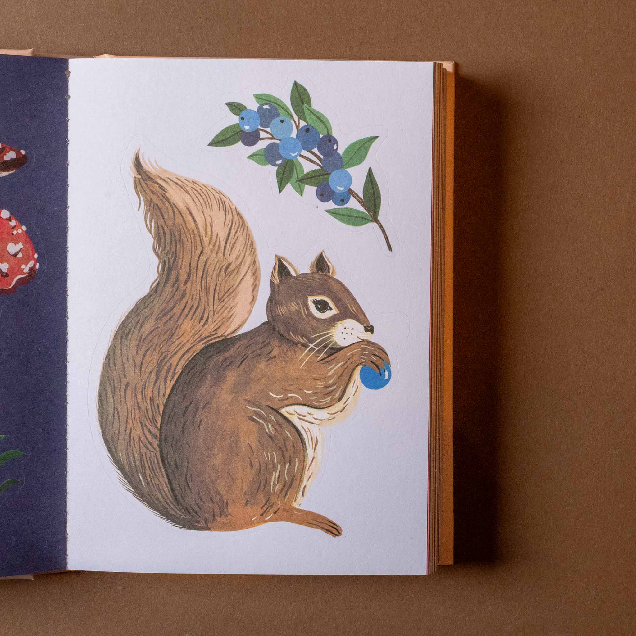 art-of-the-forest-100-page-sticker-book Illustration of a squirrel holding a blueberry on a notebook page.
