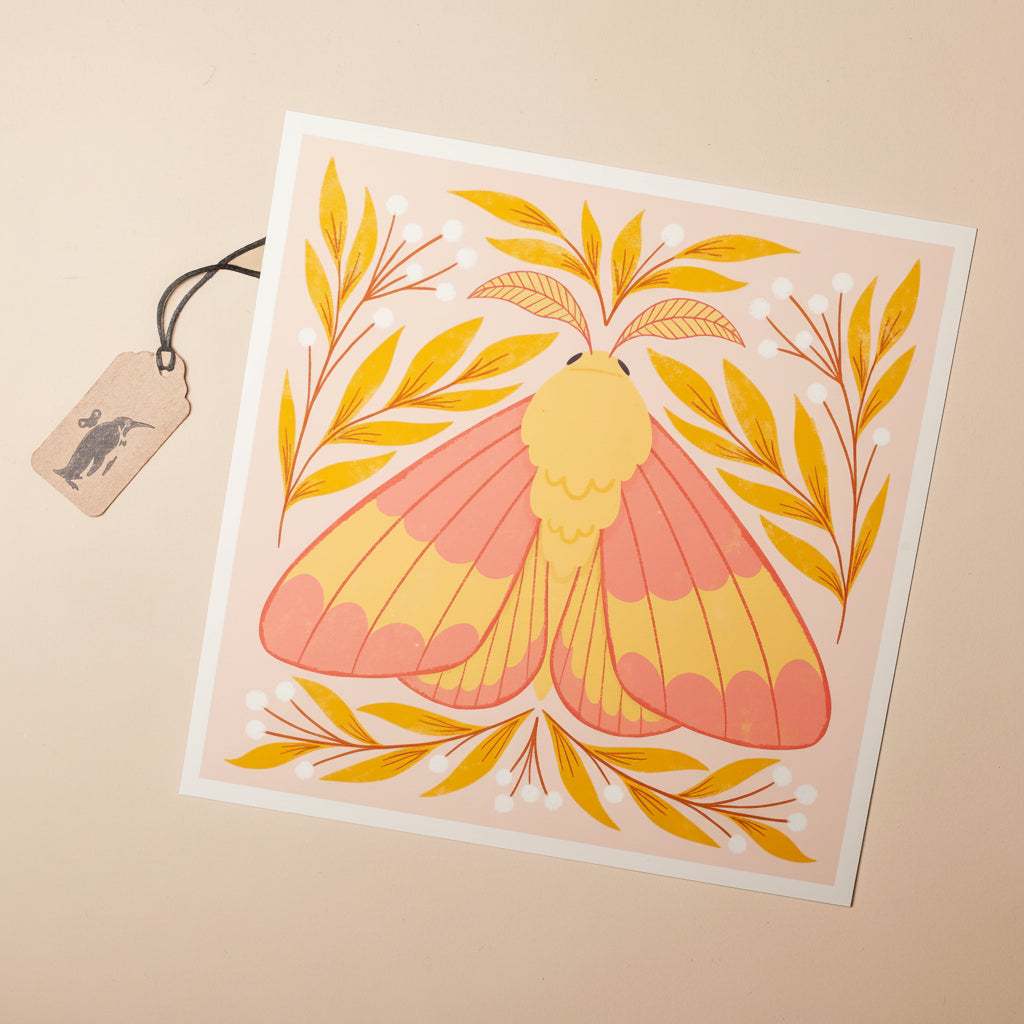 art-print-rosy-maple-moth