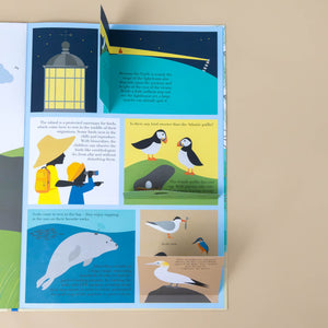 lift-flaps-with-information-about-lighthouse-beacon-puffins-and-seagulls