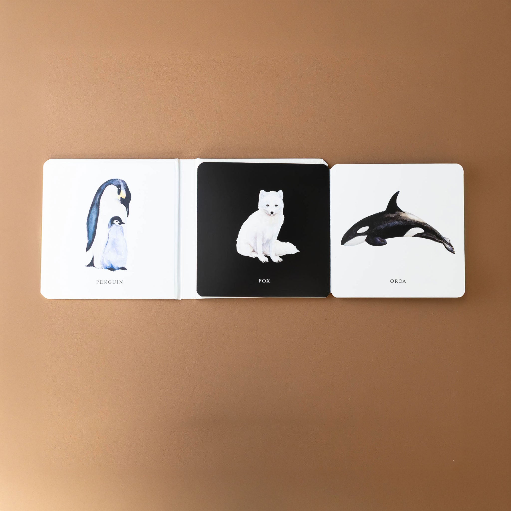 babys-black-and-white-contrast-board-book-page-with-penguin-fox-and-orca