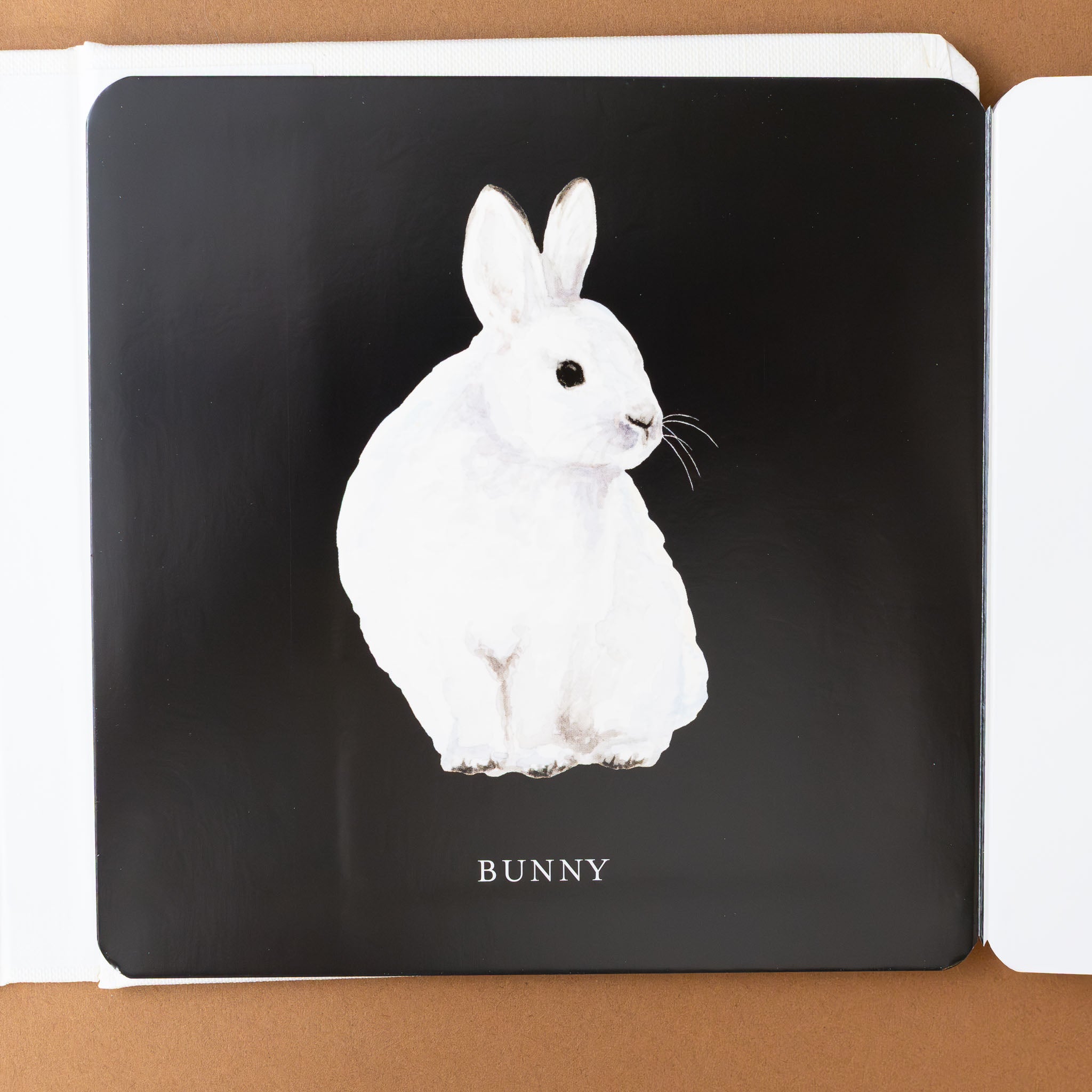 babys-black-and-white-contrast-board-book-bunny