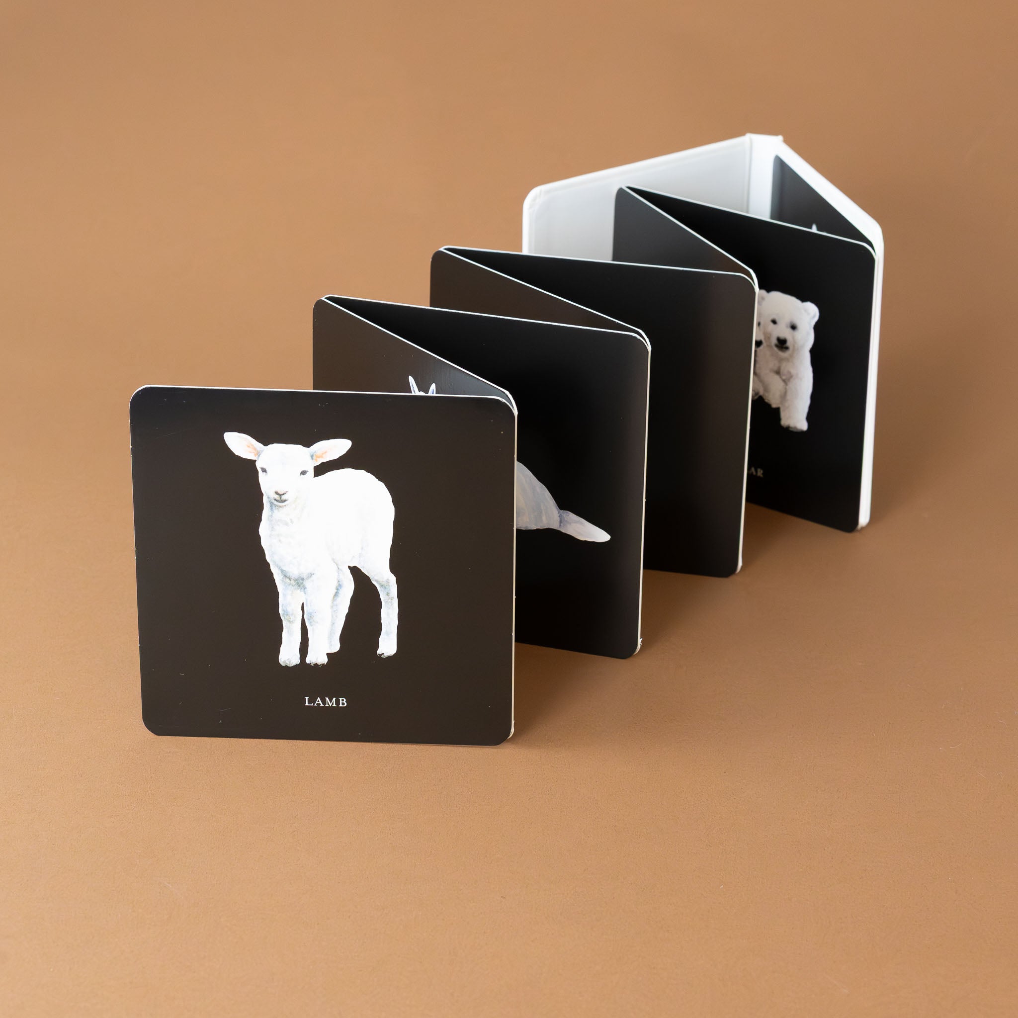 babys-black-and-white-contrast-board-book-pulled-out-like-an-accordian-with-a-lamb-on-a-black-page