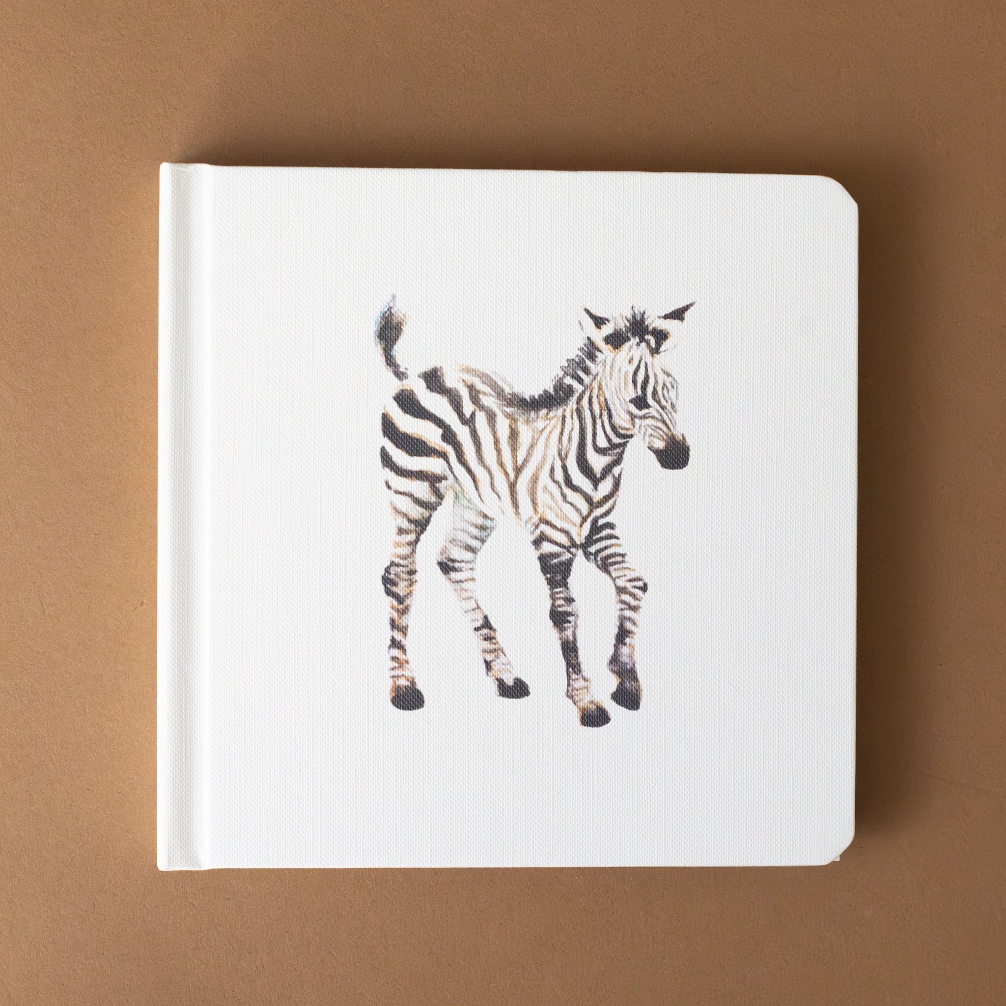 book-cover-with-zebra