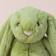 Load image into Gallery viewer, bashful-bunny-moss-medium-pink-nose