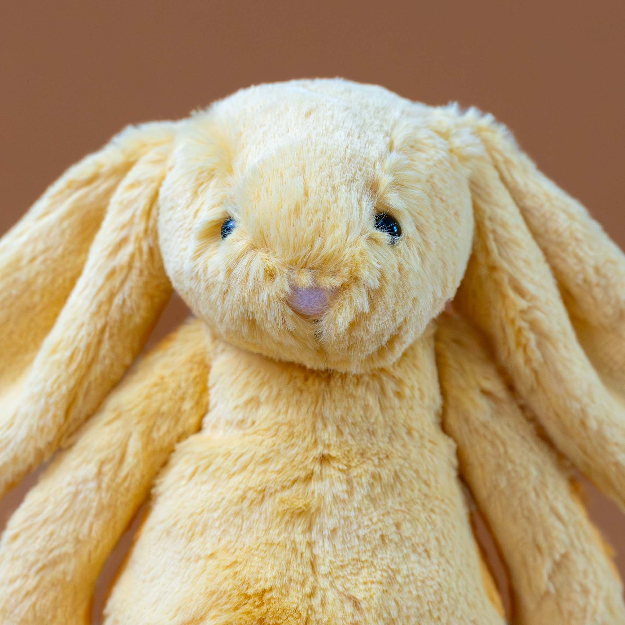 Bashful Bunny | Sunshine - Small