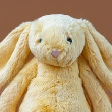Load image into Gallery viewer, Bashful Bunny | Sunshine - Small