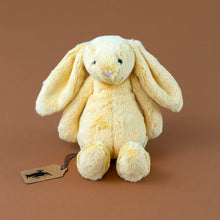 Load image into Gallery viewer, Bashful Bunny | Sunshine - Small