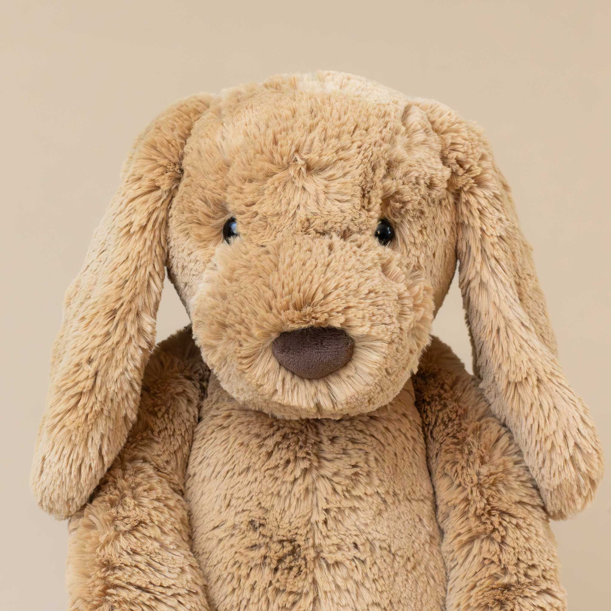 bashful-toffee-puppy-big-stuffed-animal-brown-nose