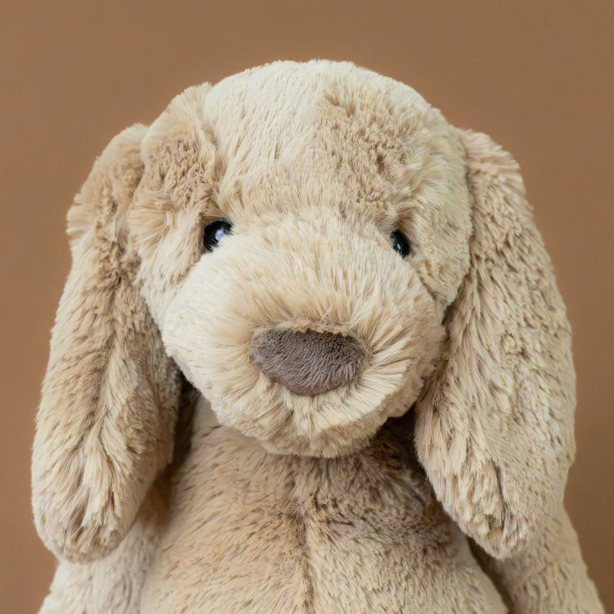 bashful-toffee-puppy-medium-stuffed-animal-brown-nose