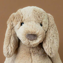 Load image into Gallery viewer, bashful-toffee-puppy-medium-stuffed-animal-brown-nose