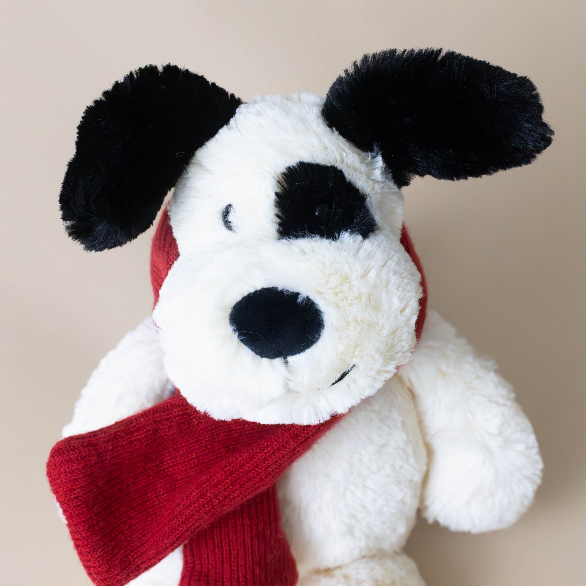 bashful-black-and-white-winter-puppy-medium-with-red-scarf