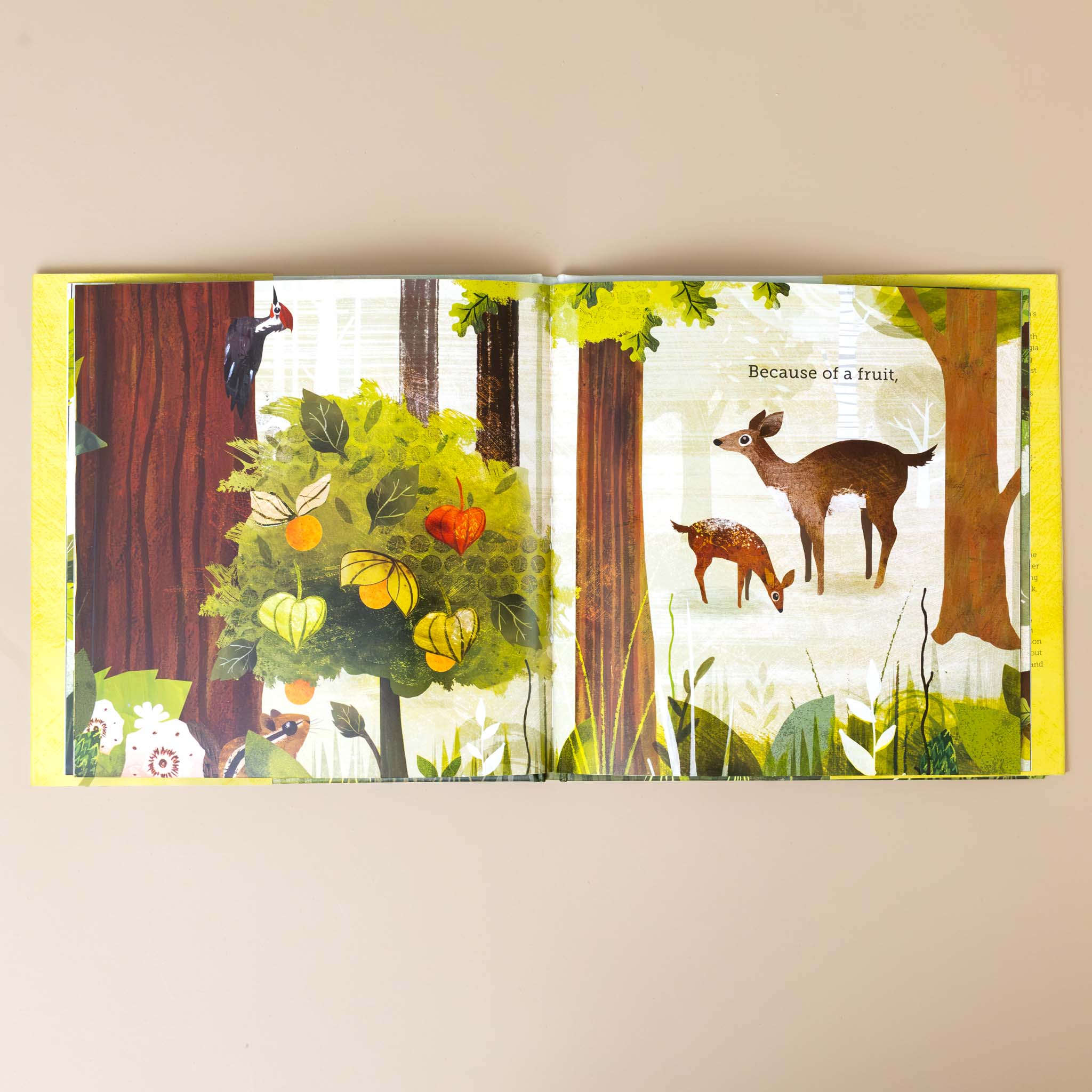 because-of-an-acorn-book-interior-page-with-trees-deer-and-text-because-of-a-fruit