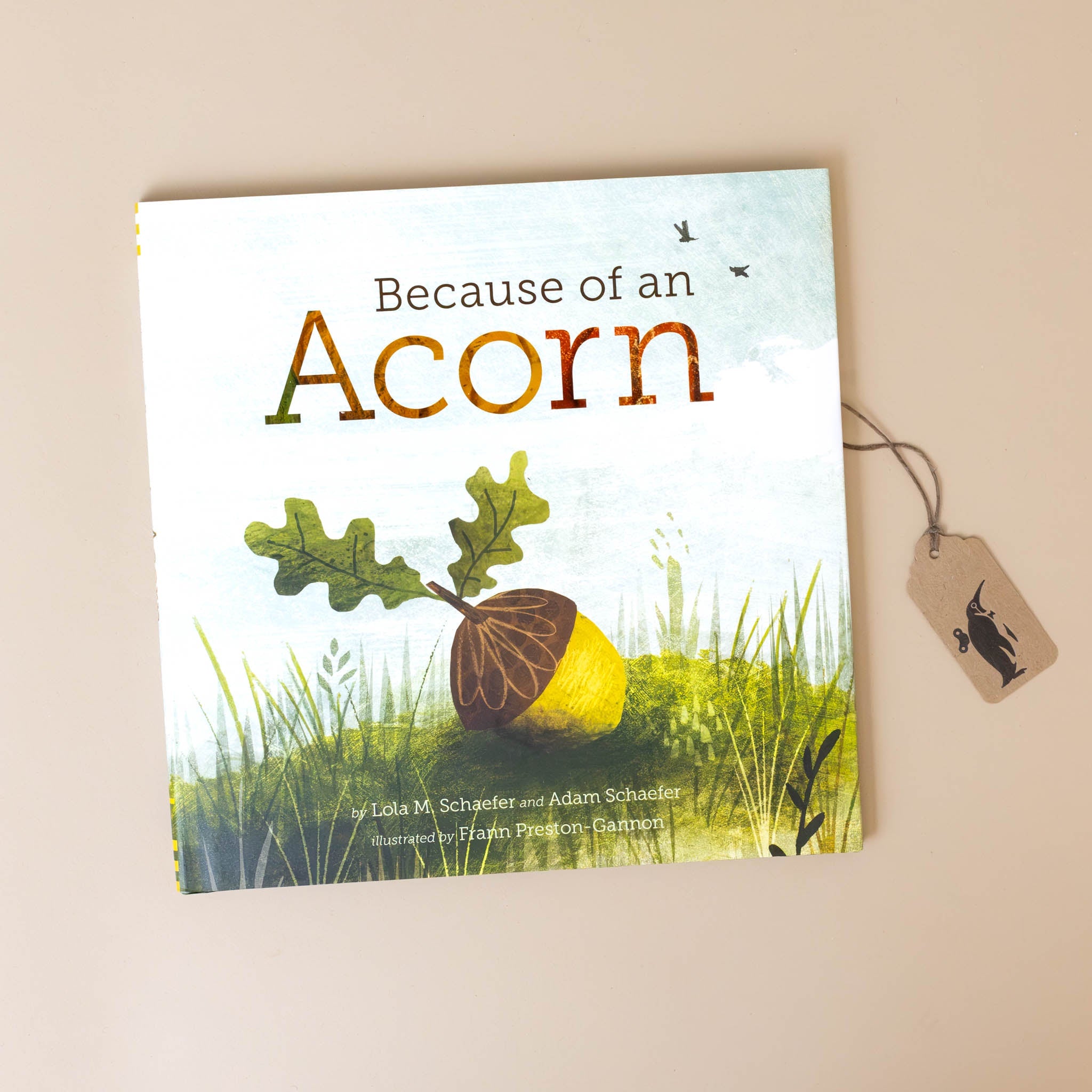 because-of-an-acorn-book