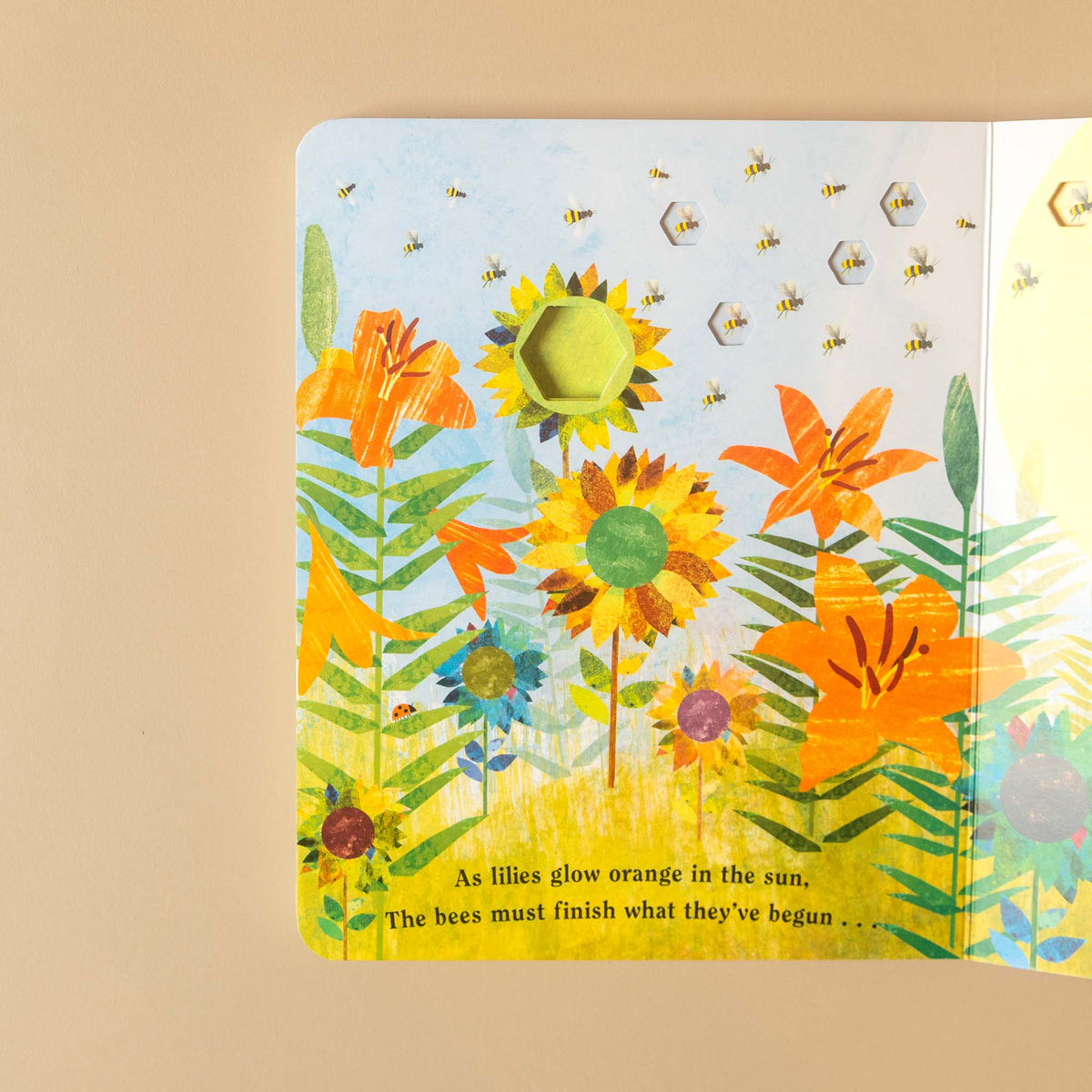 Bee | A Peek Through Board Book