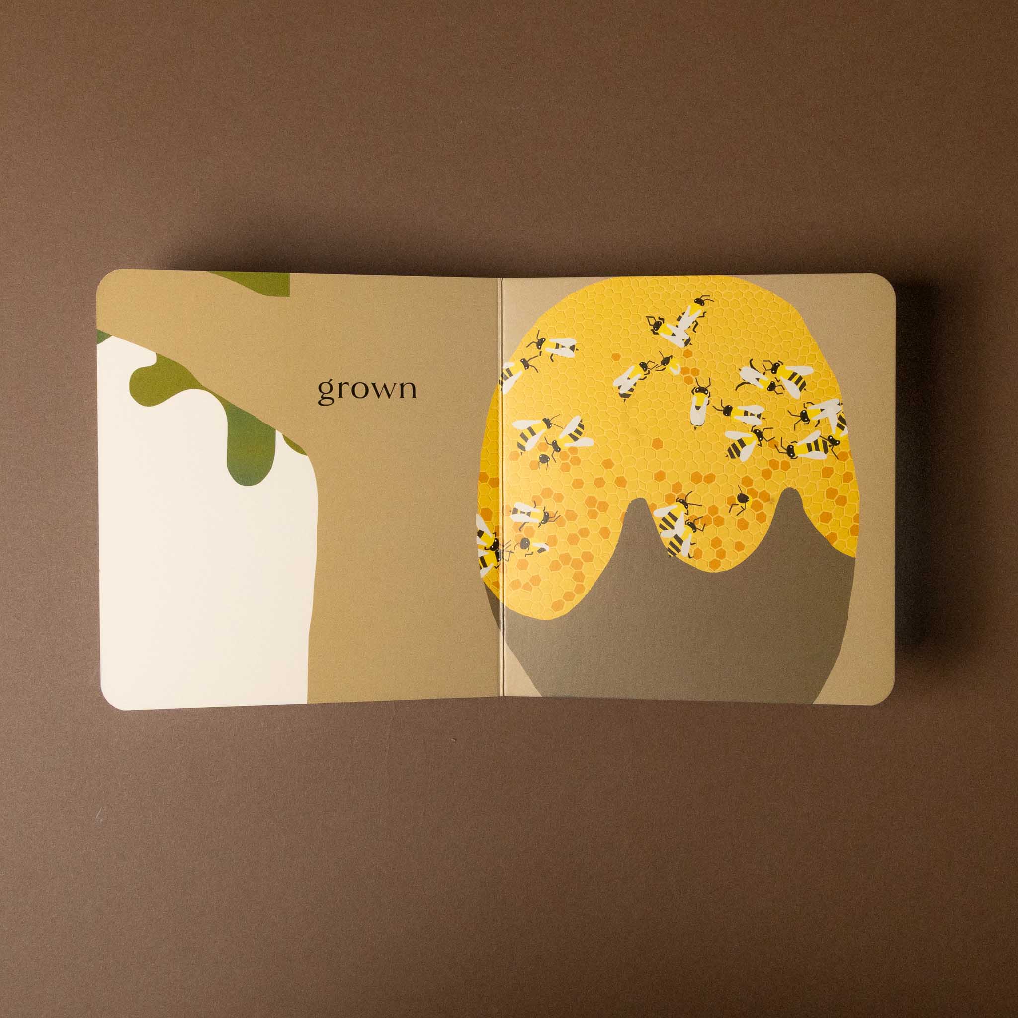 Open beehive-board-book with illustrations of a tree and bees on a brown background