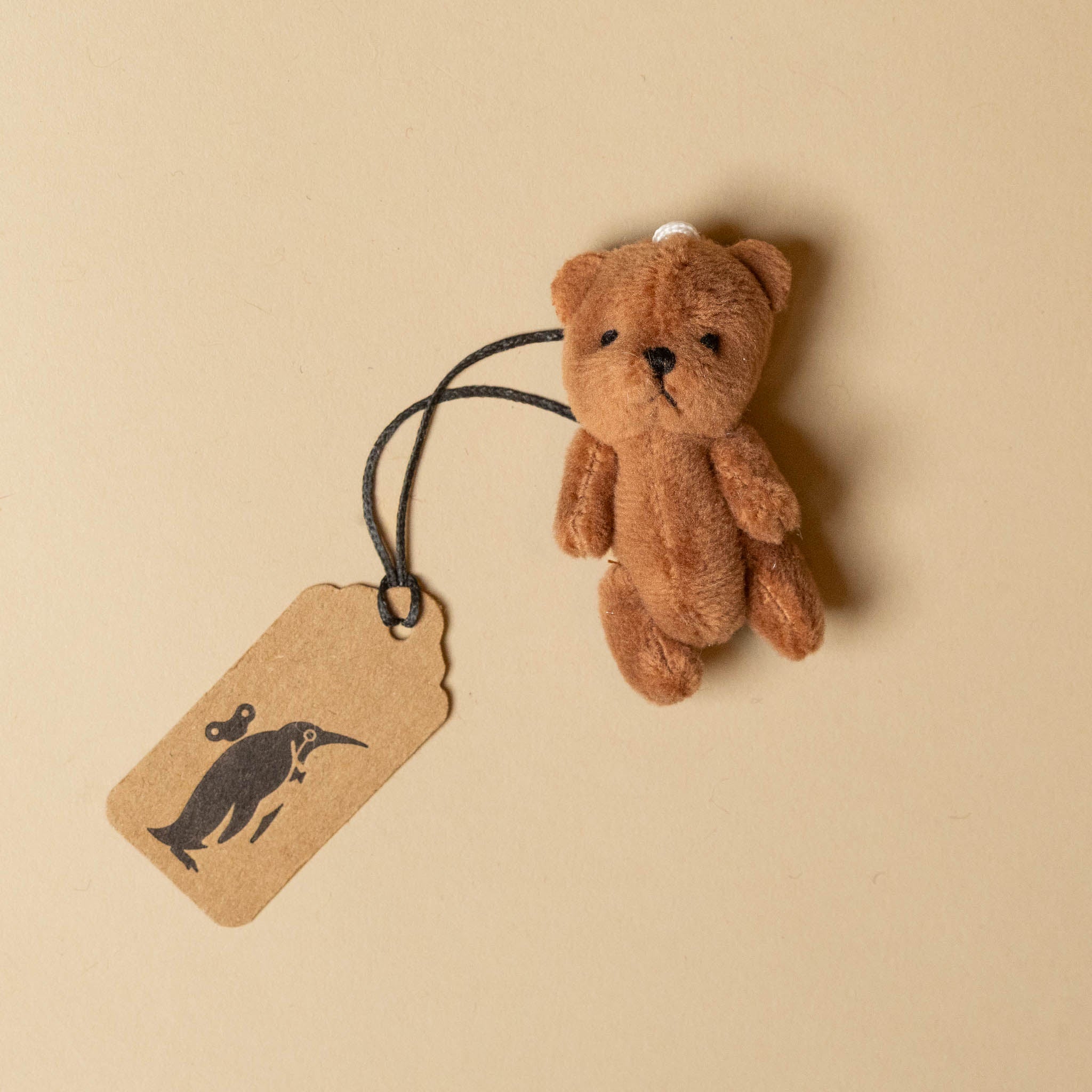 Small brown teddy bear with a tag on a beige background