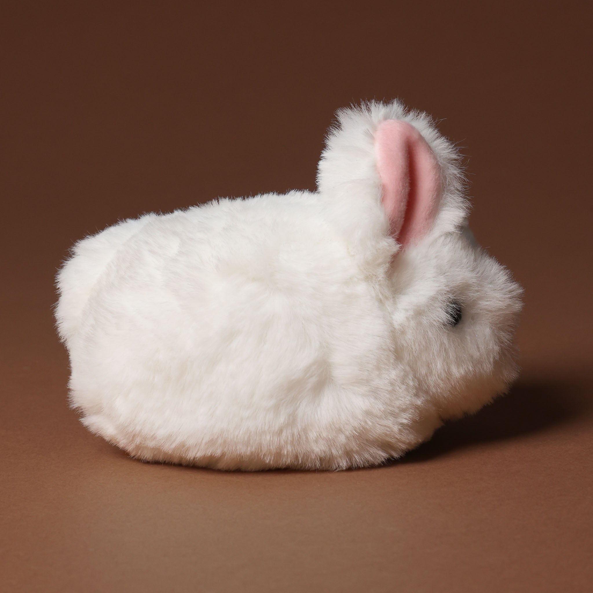 White plush bitty-bunny-white with a brown tag on a brown background