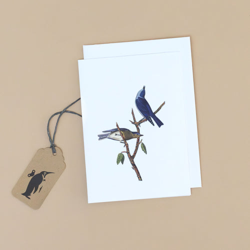 blue-birds-greeting-card