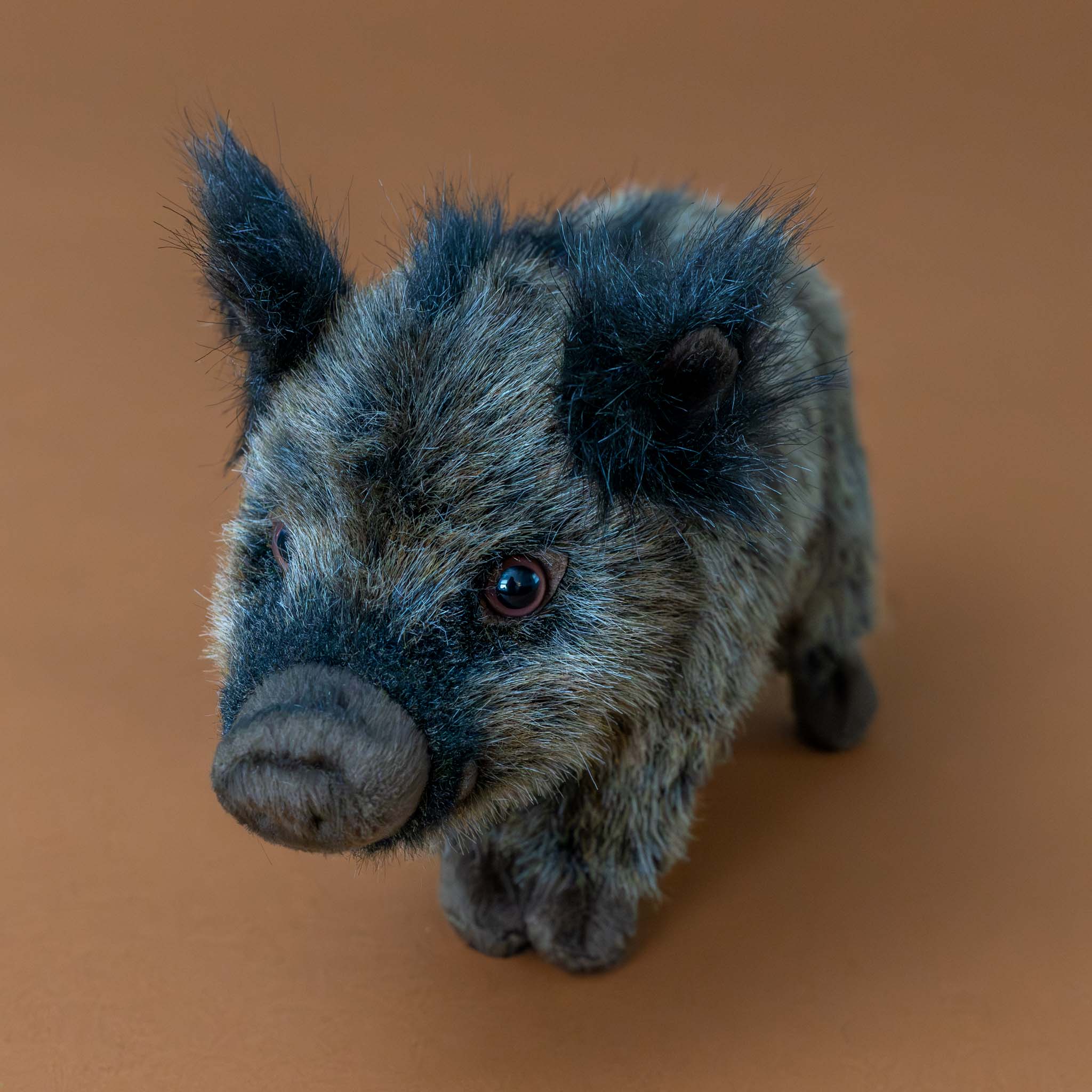 brown-boar-piglet-standing-with-black-fur-tail-and-ears-lifelike-face