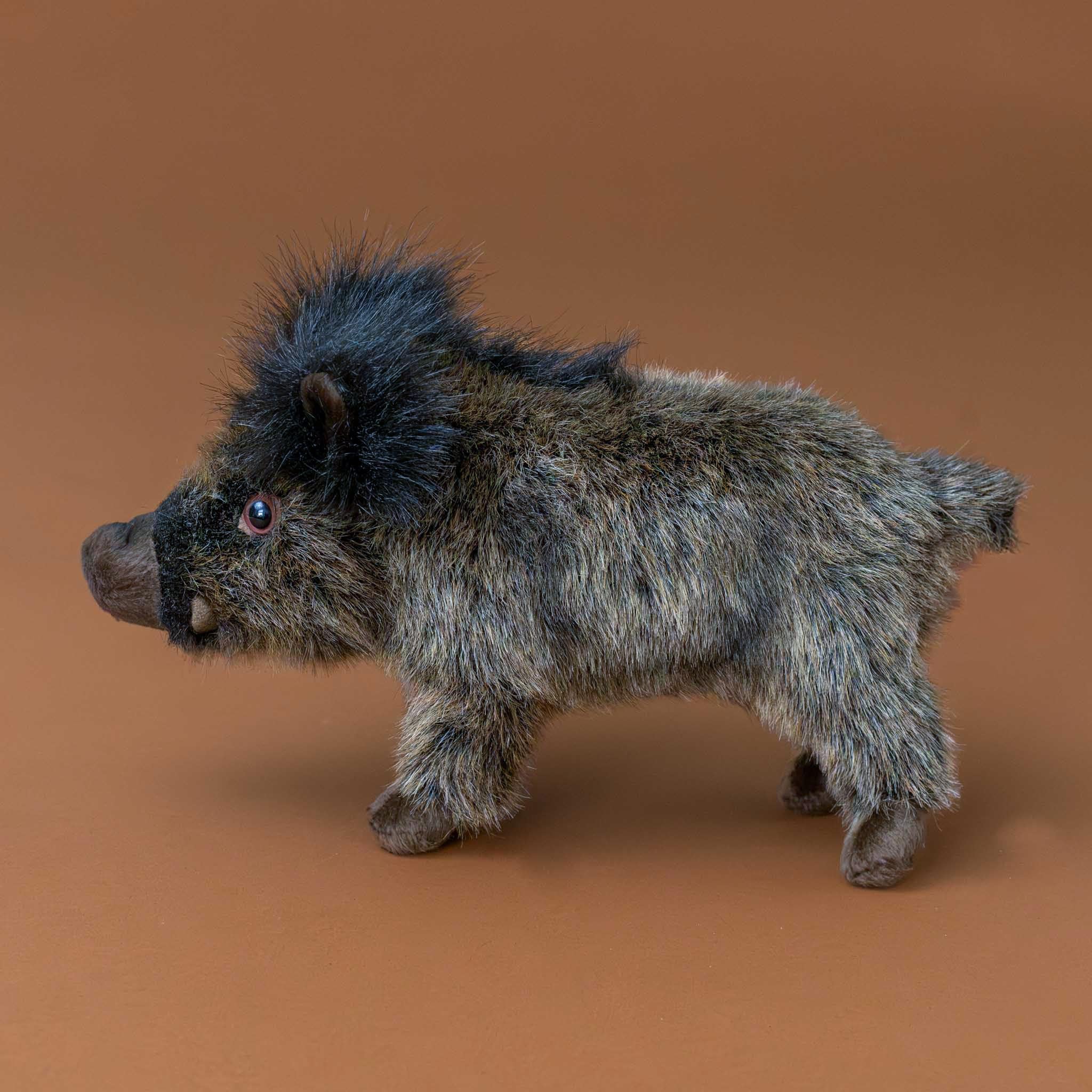 brown-boar-piglet-standing-with-black-fur-tail-and-ears