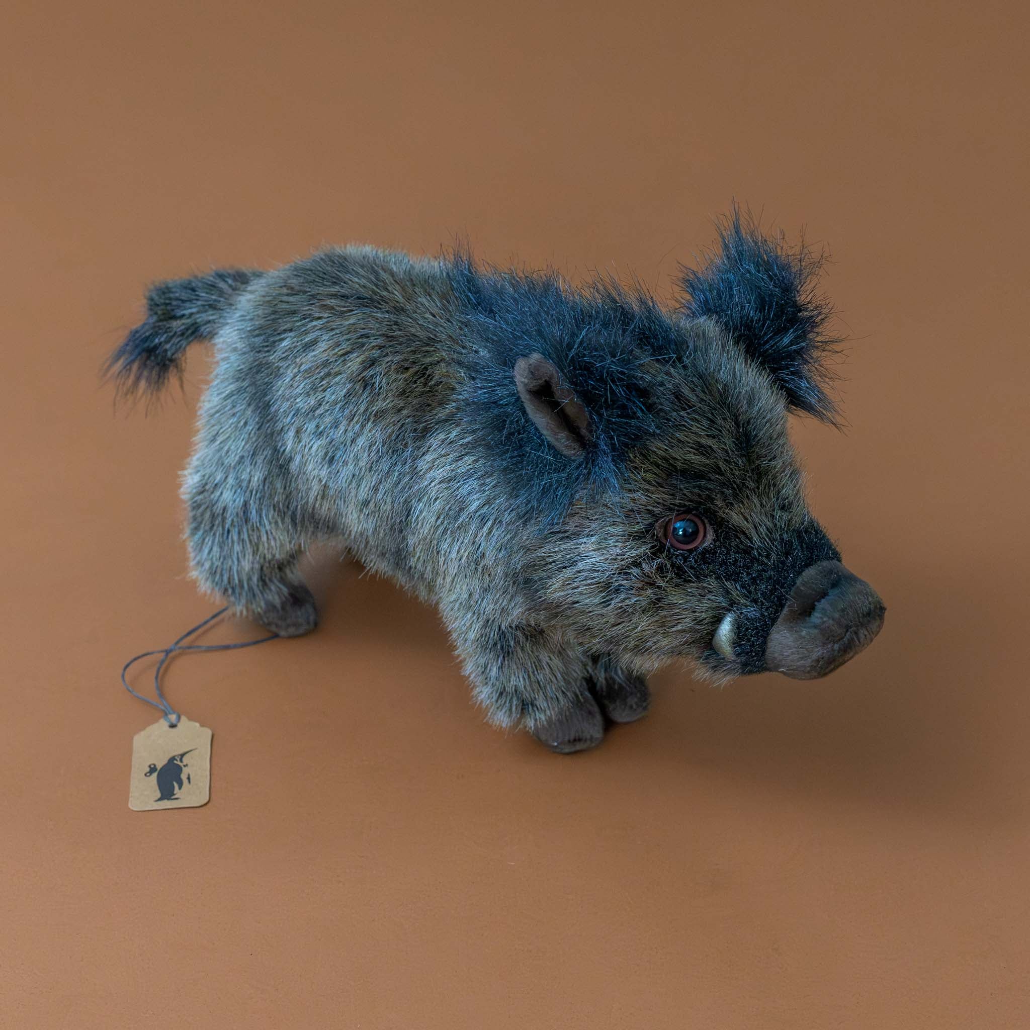 brown-boar-piglet-standing-with-black-fur-tail-and-ears