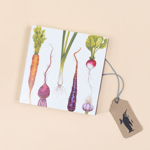 box-full-of-matches-farmers-market-with-carrot-beet-onion-turnip-and-radish-imagery