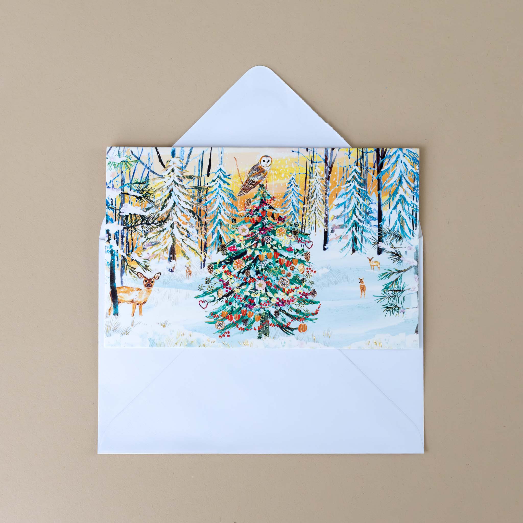 boxed-notecard-set-winter-forest-tree-example-card