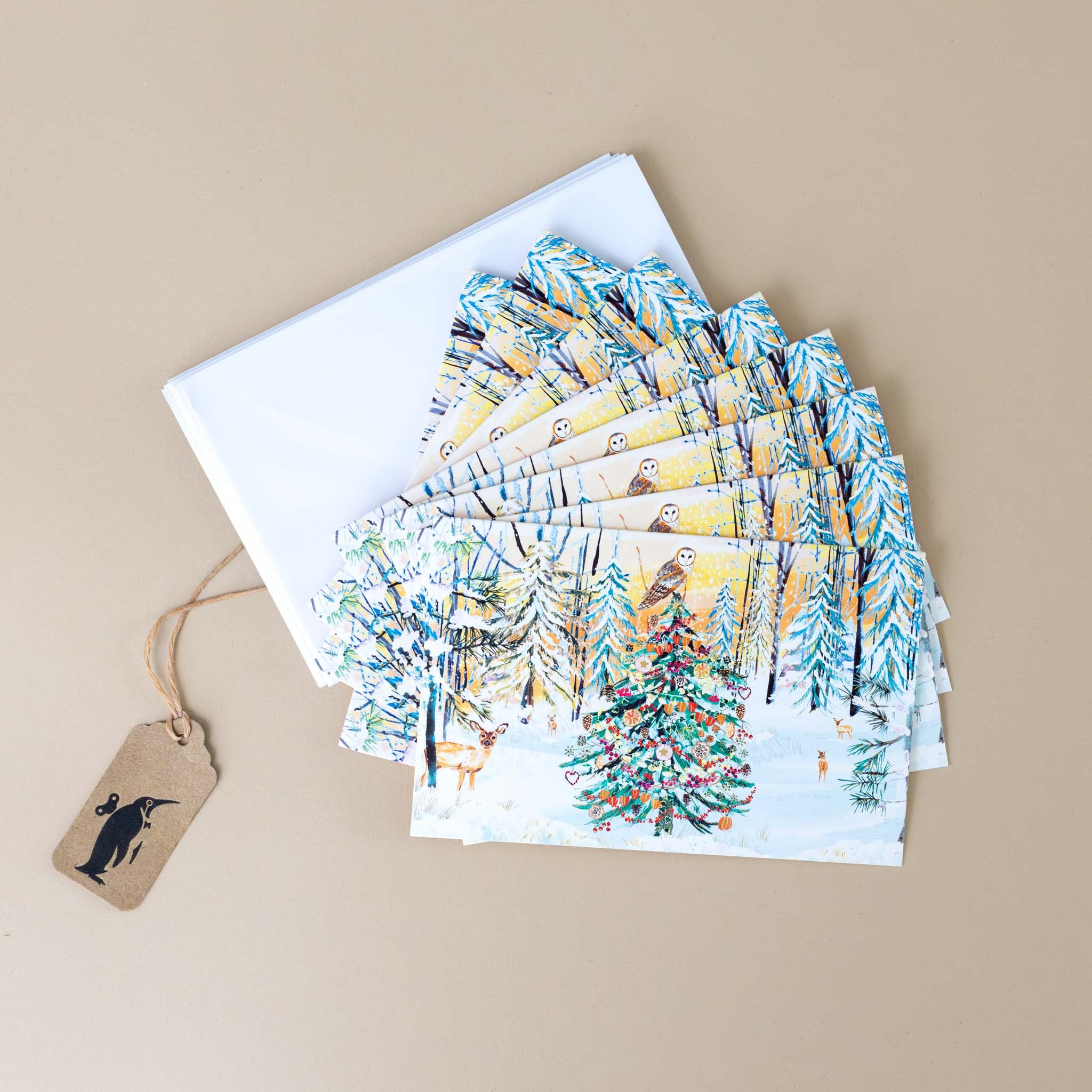 boxed-notecard-set-winter-forest-tree