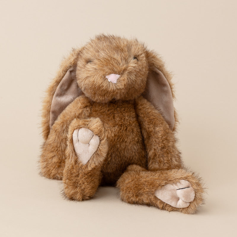 bradenton-brown-bunny