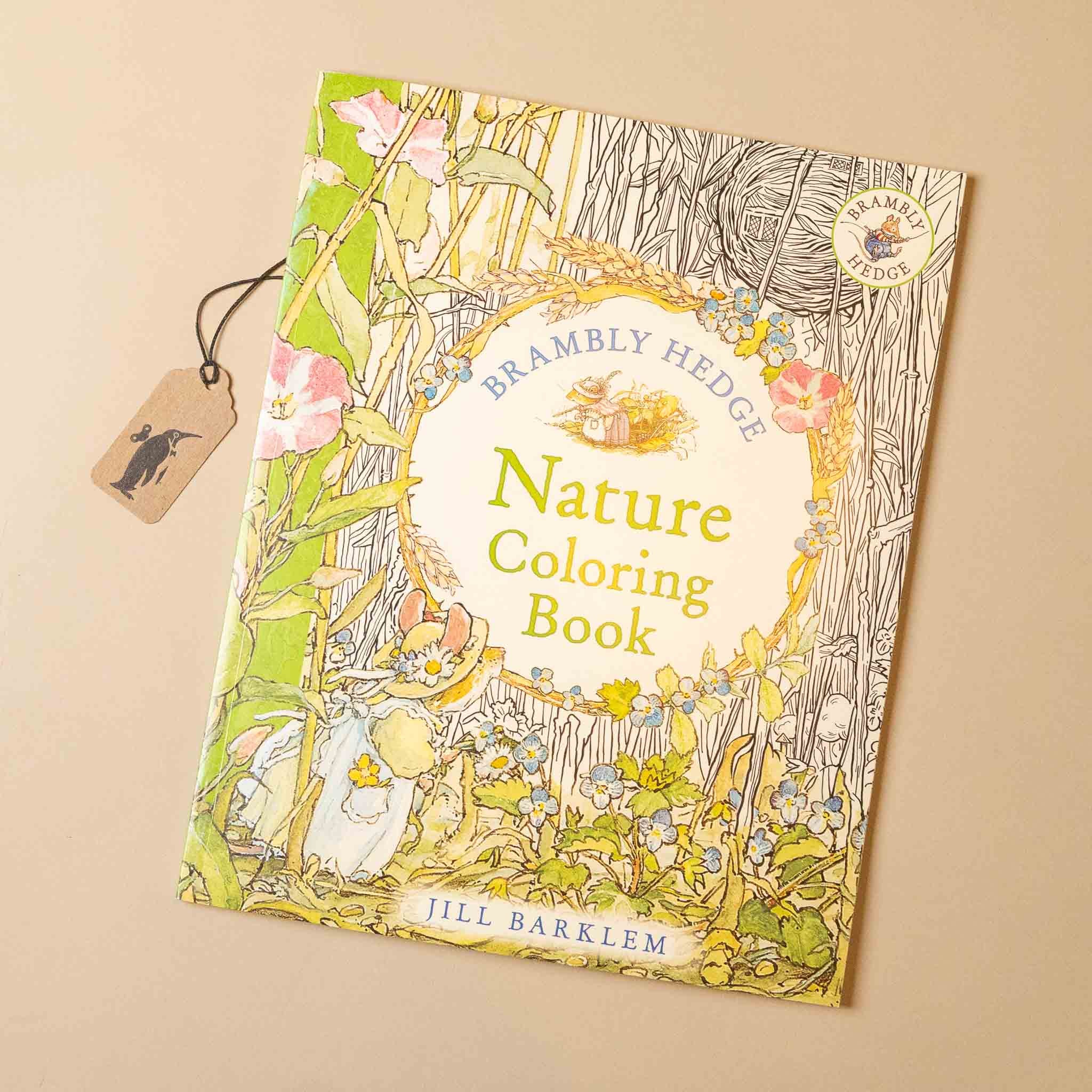 brambly-hedge-nature-coloring-book