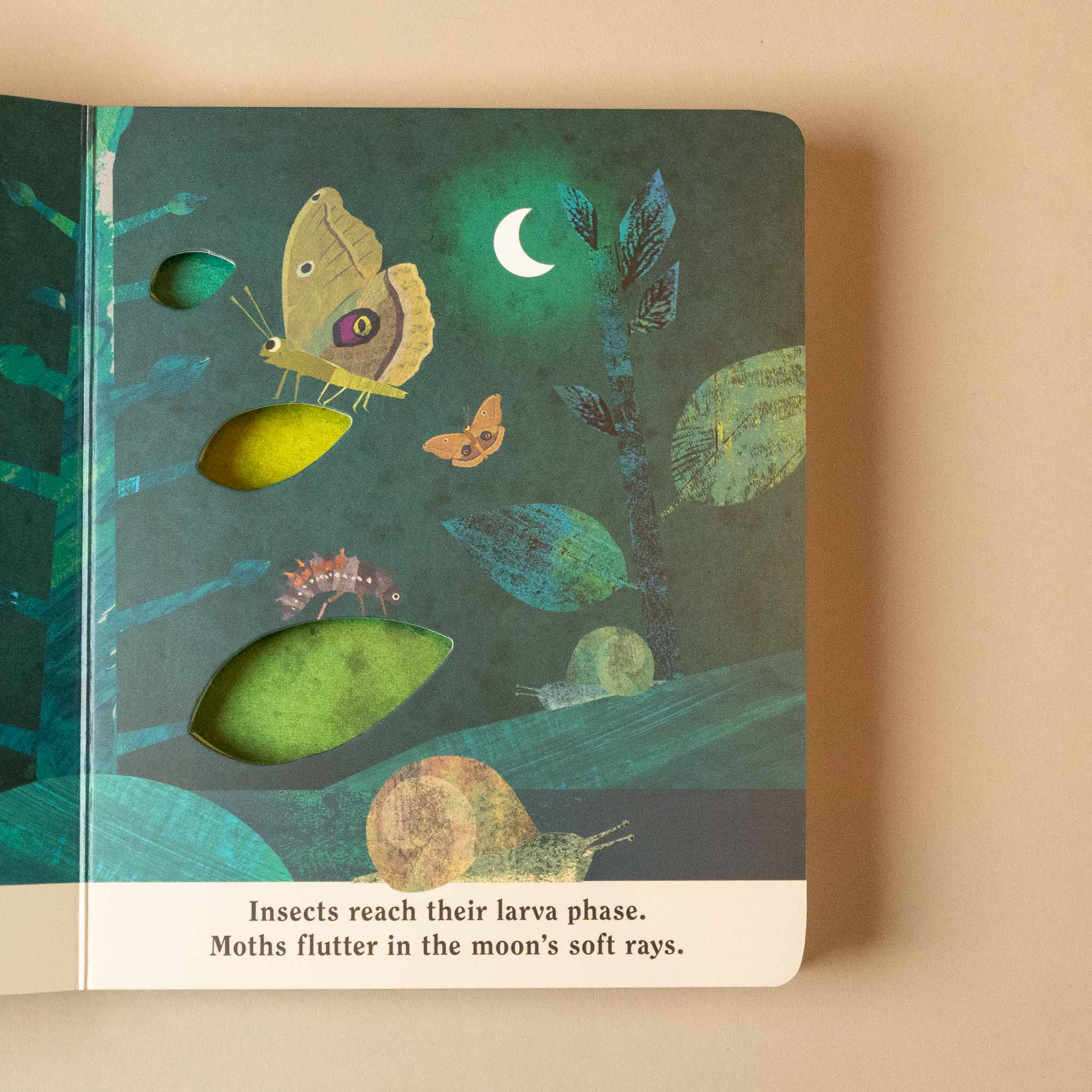 Illustrated bugs-a-peek-through-board-book with butterflies and leaves on a beige background