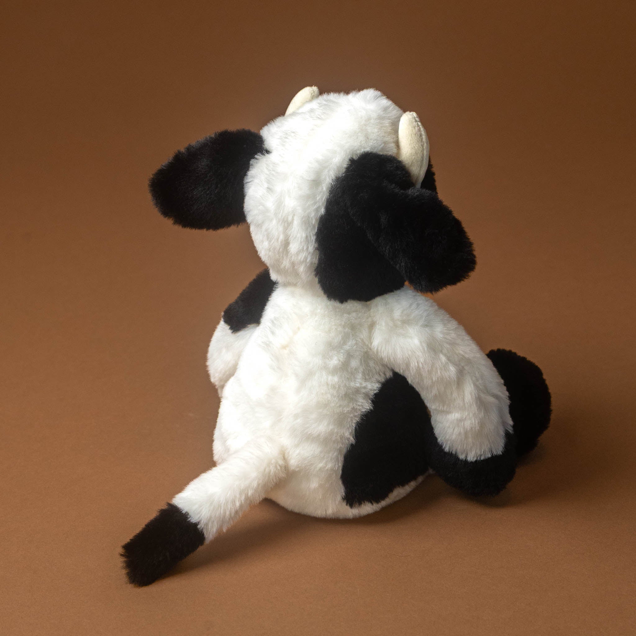 buttercup-the-cow-black-and-white-tail-and-back