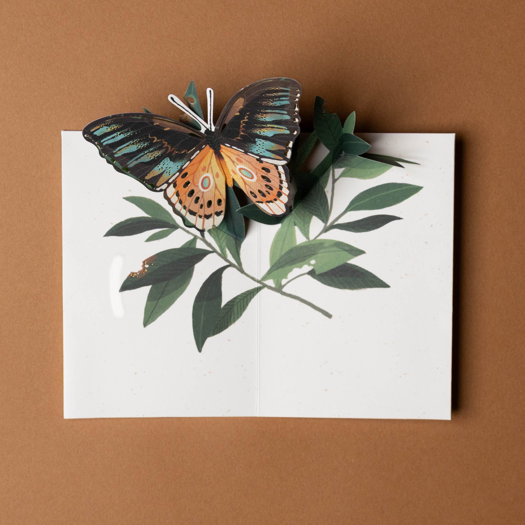 butterfly-pop-up-greeting-card