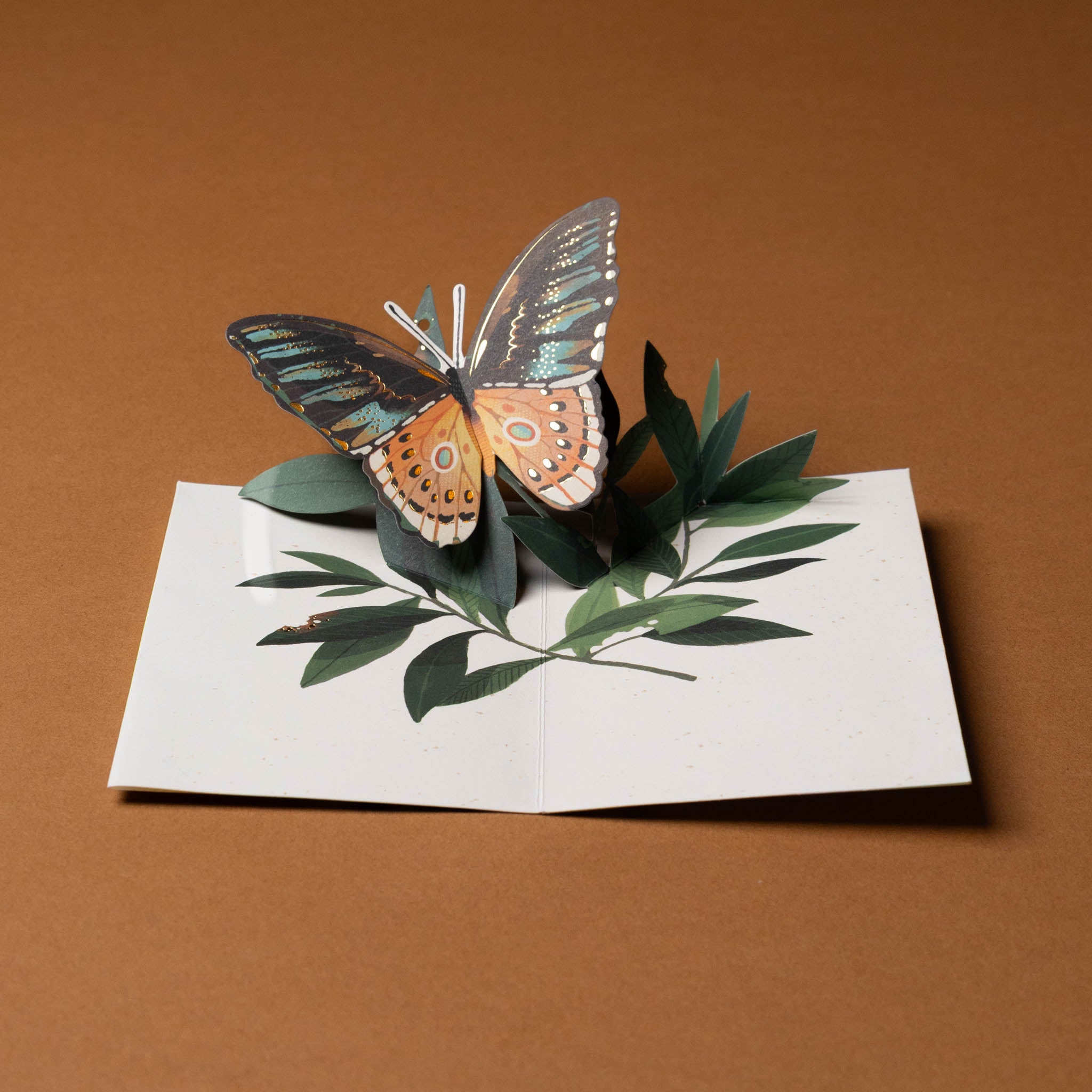 butterfly-pop-up-greeting-card