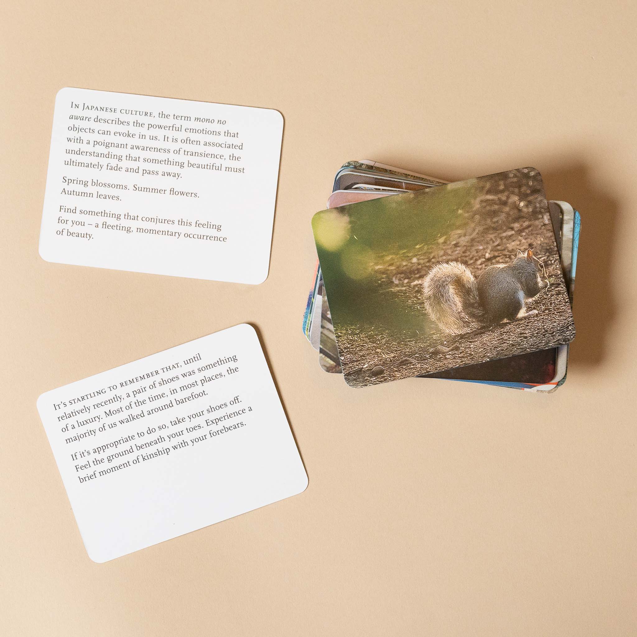 Set of nature-themed cards with a squirrel image on a beige background