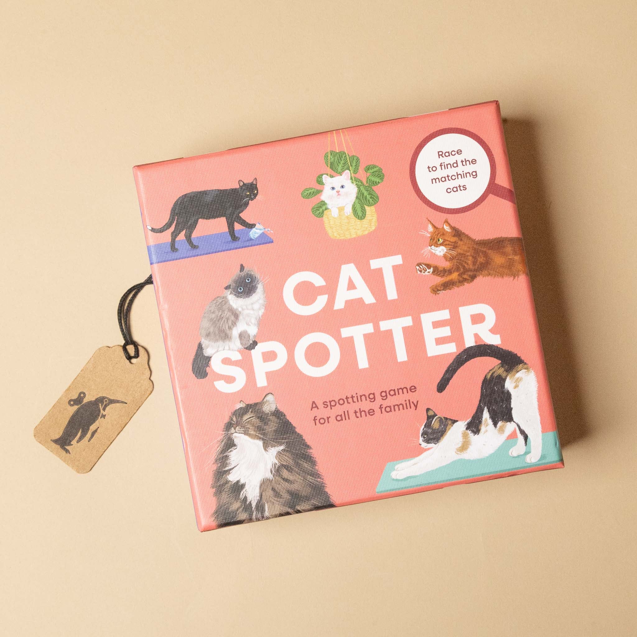 Cat Spotter game box with illustrations of cats on a beige background