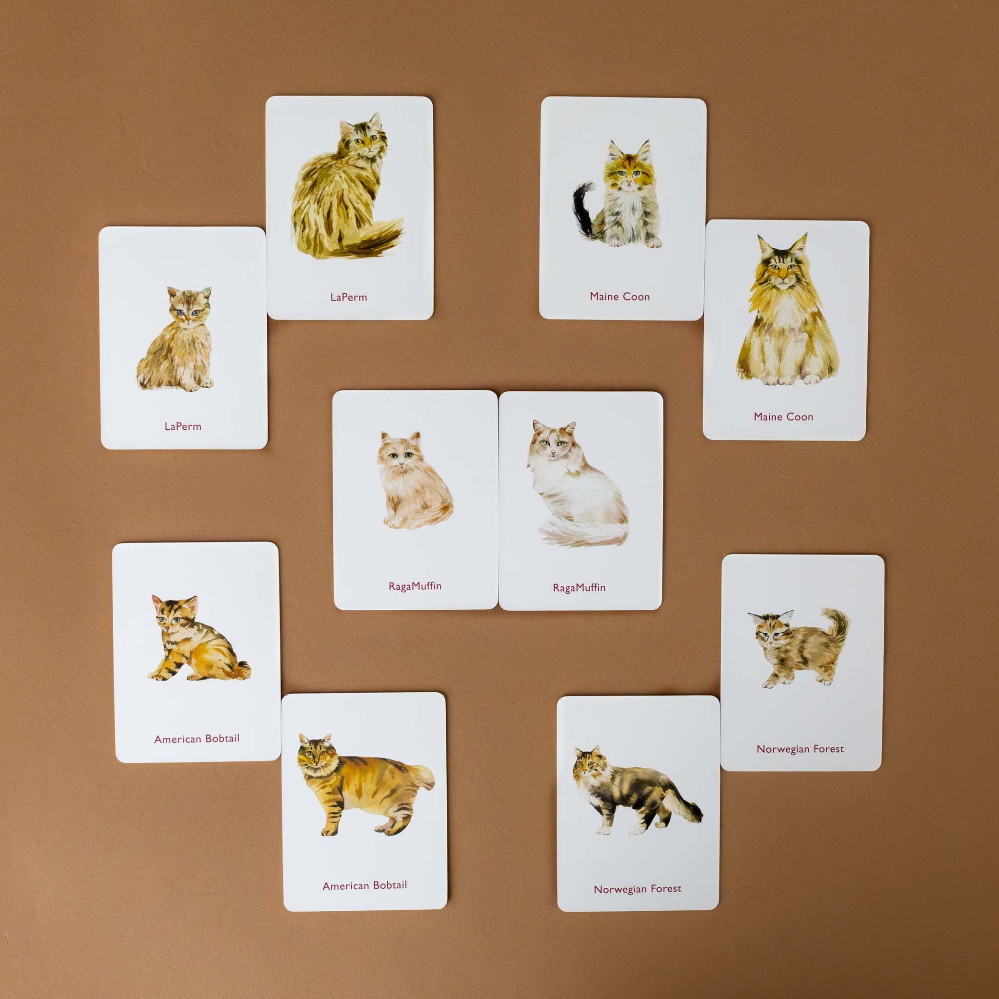 cats-and-kittens-memory-game-showing-matching-pairs-of-cats-with-their-kitten