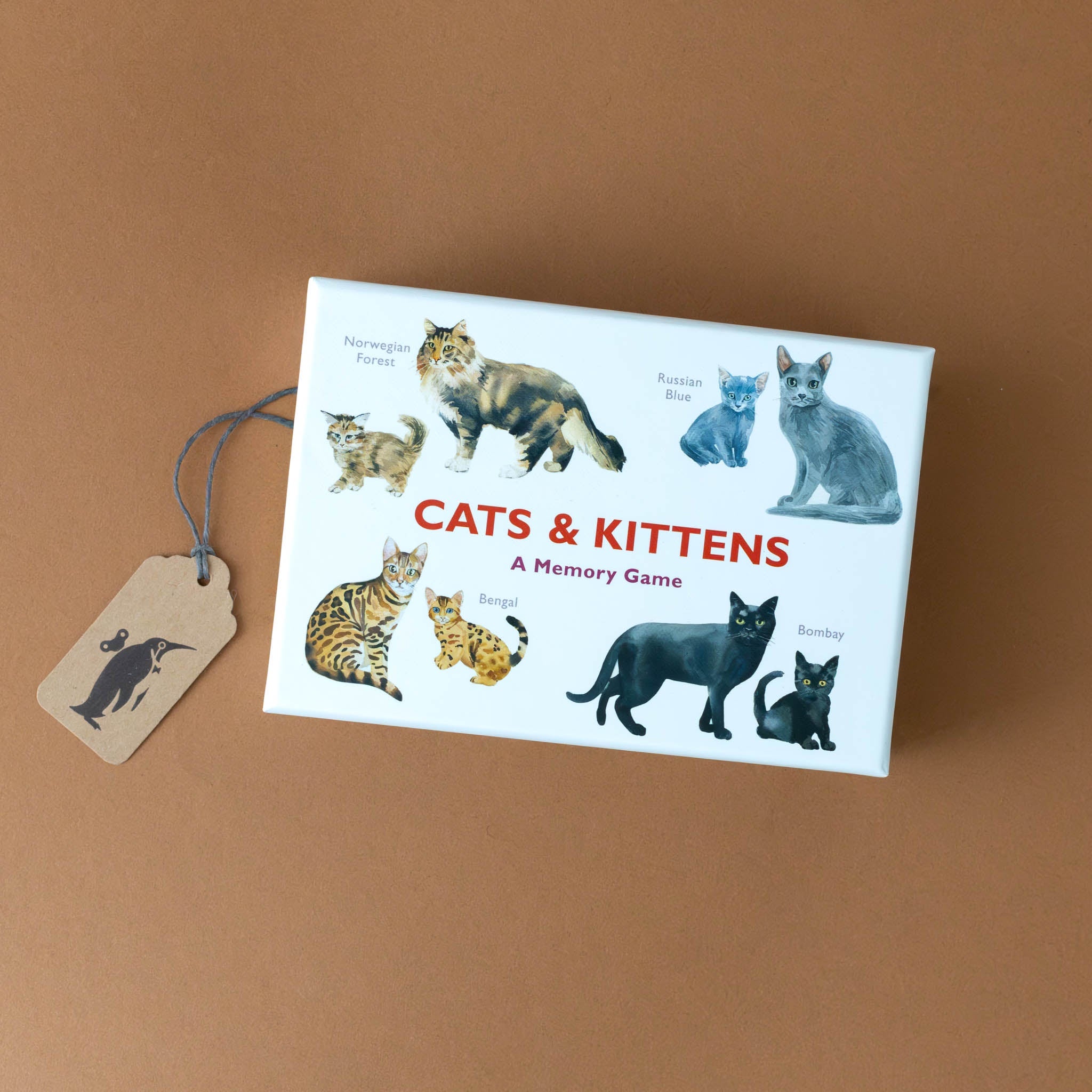 cats-and-kittens-memory-game