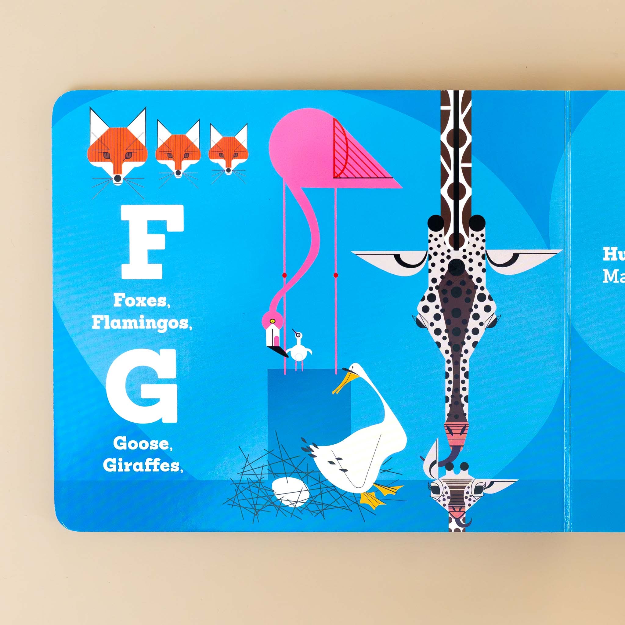 interior-page-with-F-foxes-and-flamingos-G-goose-and-giraffes-with-matching-illustrations