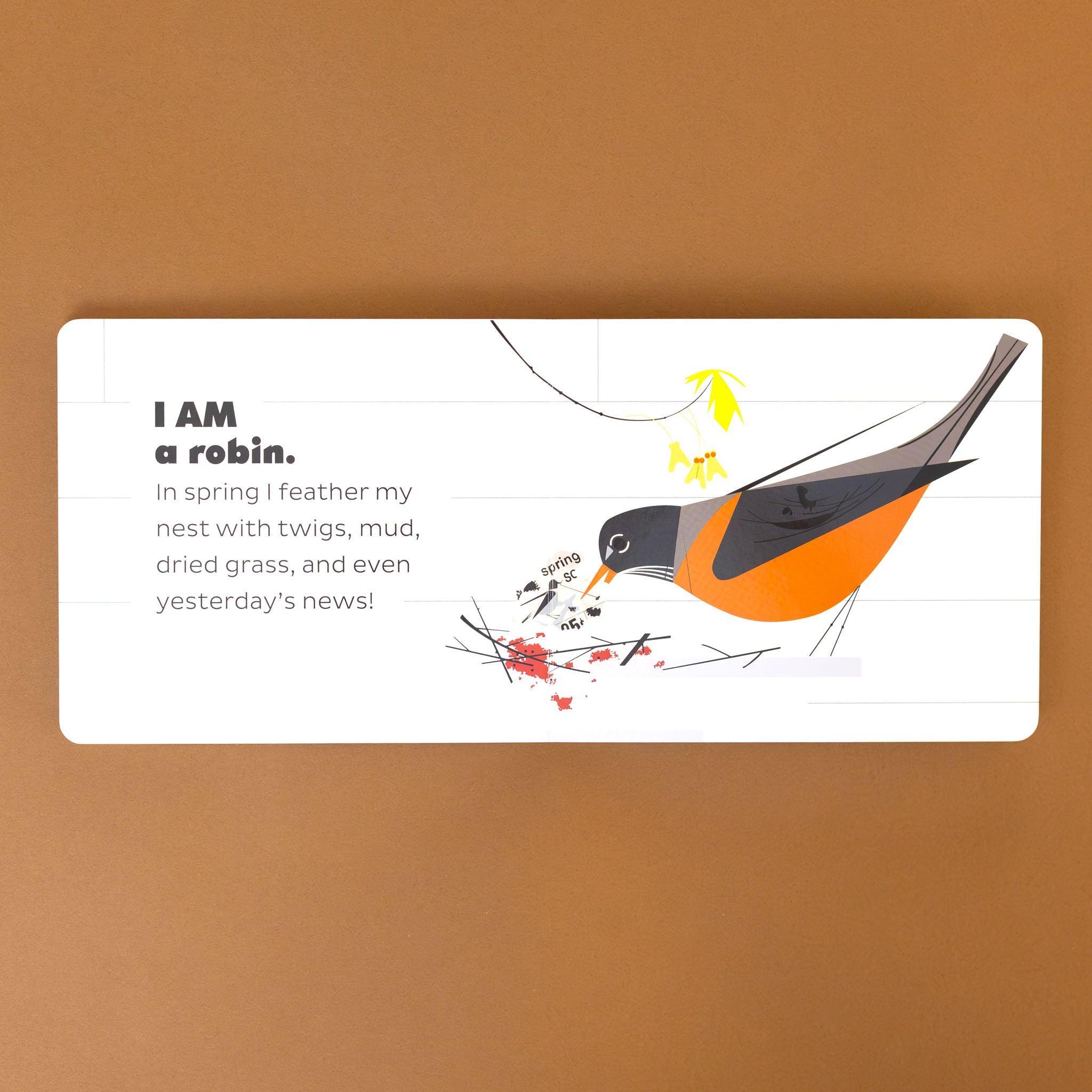 i-am-a-robin-with-text-and-illustration