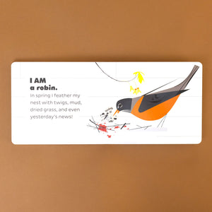 i-am-a-robin-with-text-and-illustration